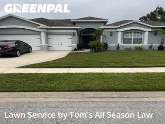 Grass Cut nearby Spring Hill, FL, 