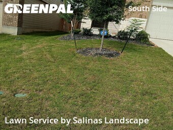 Lawn Care Servicein San Antonio,78252,Lawn Mowing by Salinas Landscape, work completed in Jun , 2026
