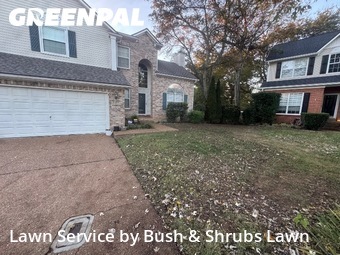 Grass Cuttingin Franklin,37069,Lawn Service by Bush & Shrubs Lawn, work completed in Nov , 2025
