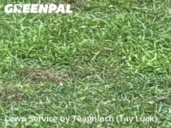 Grass Cut nearby Marietta, GA, 
