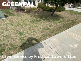 Lawn Mow nearby Seguin, TX, 