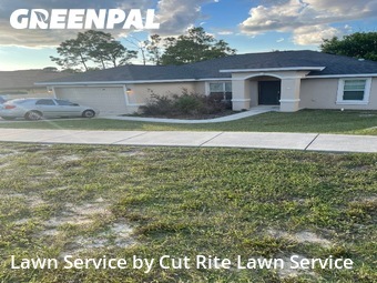 Lawn Mowing nearby Spring Hill, FL, 