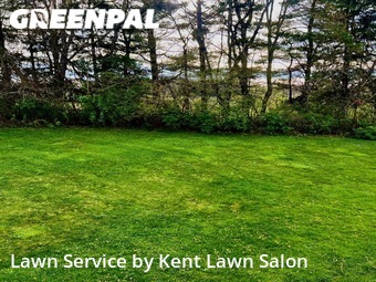 Lawn Mowing nearby Aliance, OH, 