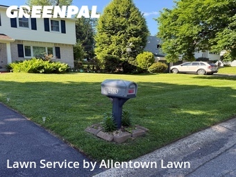 Grass Cut nearby Allentown, PA, 