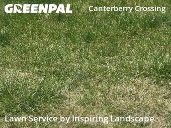 Lawn Care Servicein Parker,80138,Grass Cut by Inspiring Landscape, work completed in Jun , 2026