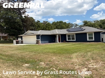 Grass Cut nearby Ocala, FL, 