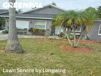 Yard Cutting nearby Clearwater, FL, 