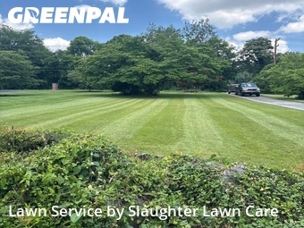 Lawn Service nearby Knoxville, TN, 