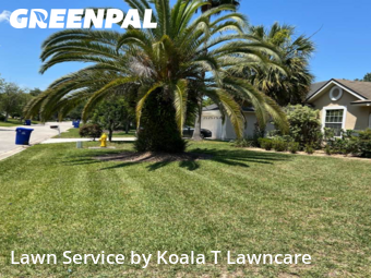 Grass Cut nearby Jacksonville, FL, 