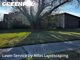 Grass Cuttingin The Colony,75056,Lawn Mow by Alfas Landscaping, work completed in Jan , 2026