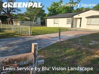 Grass Cut nearby Tampa, FL, 