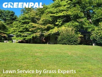 Yard Cutting nearby Charlotte, NC, 