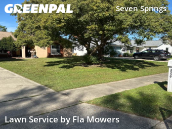 Lawn Cut nearby Trinity, FL, 