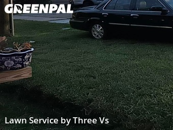 Lawn Cut nearby Oldsmar, FL, 