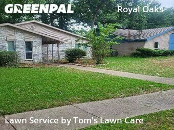 Lawn Care nearby Plano, TX, 