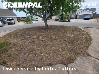 Lawn Mow nearby Corpus Christi, TX, 