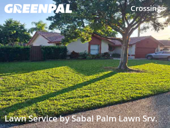 Yard Management in Coral Springs, 33065, Backyard Mowing by Sabal Palm Lawn Srv., work completed in Nov , 2025