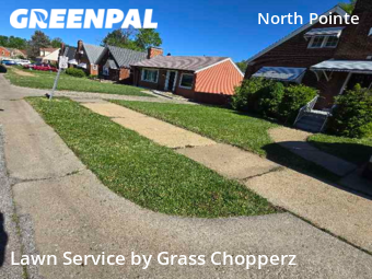 Yard Cutting nearby St. Louis, MO, 