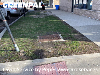 Lawn Mow nearby Chicago, IL, 