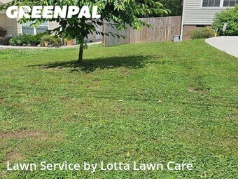 Lawn Mowing Service nearby Chattanooga, TN, 