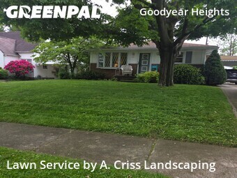 Lawn Mow nearby Akron, OH, 