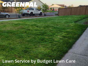 Yard Grooming in Albany, 97322, Yard Grooming by Budget Lawn Care, work completed in Nov , 2025