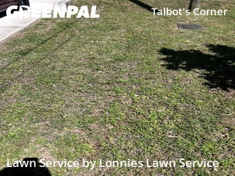 Lawn Care Service nearby Nashville, TN, 