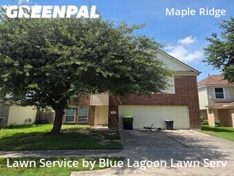 Grass Cutin Houston,77038,Lawn Care Service by Blue Lagoon Lawn Serv, work completed in Jun , 2026