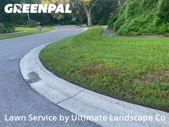 Grass Cutting nearby Brandon, FL, 