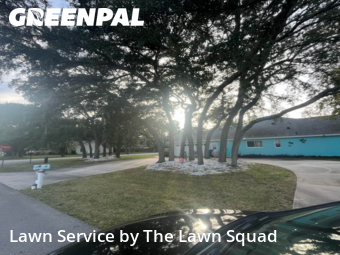 Lawn Cutting nearby Spring Hill, FL, 