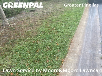 Lawn Cutting nearby St. Petersburg, FL, 