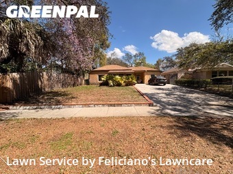 Grass Cut nearby Tampa, FL, 