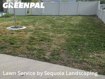 Grass Cutting nearby Orem, UT, 