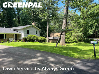 Yard Cutting nearby Reston, MD, 