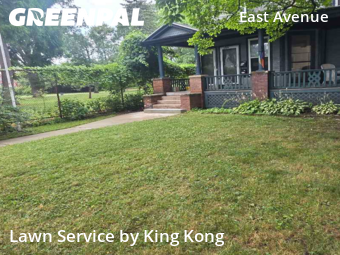 Grass Cutting nearby Rochester, NY, 