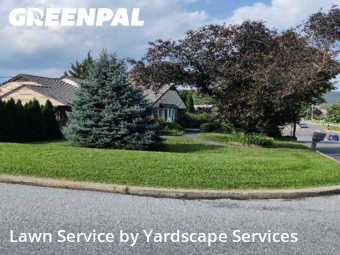 Lawn Mowing in Reading, 19606, Backyard Mowing by Yardscape Services, work completed in Nov , 2025