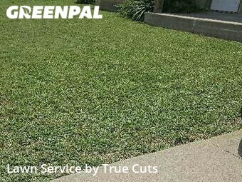 Lawn Cut nearby Moore, OK, 
