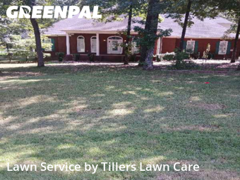 Grass Cut nearby Toney, AL, 