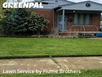 Lawn Care nearby Roseville, MI, 