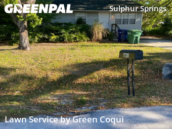 Lawn Service nearby Tampa, FL, 