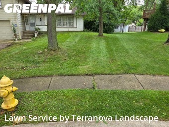 Backyard Mowing in Glen Ellyn, 60137, Yard Grooming by Terranova Landscape, work completed in Oct , 2025