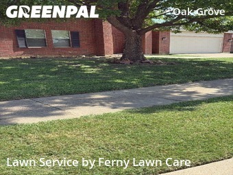 Yard Cutting nearby Burleson, TX, 