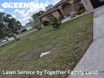 Grass Cut nearby Port Charlotte, FL, 