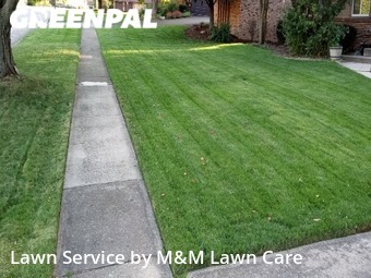 Yard Cutting nearby Frankfort, IL, 