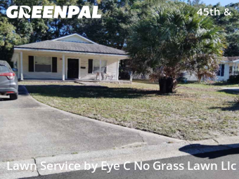 Lawn Care Servicein Jacksonville,32208,Grass Cut by Eye C No Grass Lawn Llc, work completed in Nov , 2025