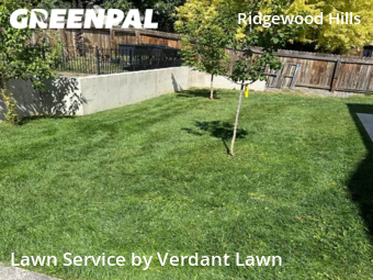 Lawn Cut nearby Fort Collins, CO, 