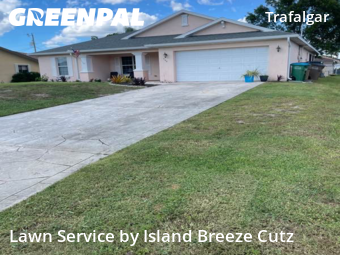 Yard Cutting nearby Cape Coral, FL, 