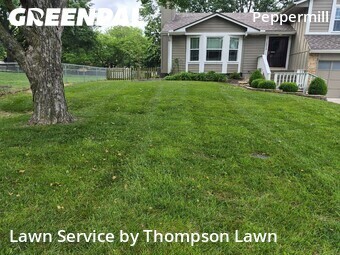 Lawn Cuttingin Olathe,66062,Lawn Mow by Thompson Lawn, work completed in Jun , 2026