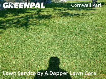 Yard Mowing nearby Bellingham, WA, 