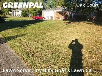 Grass Cutting nearby Pensacola, FL, 